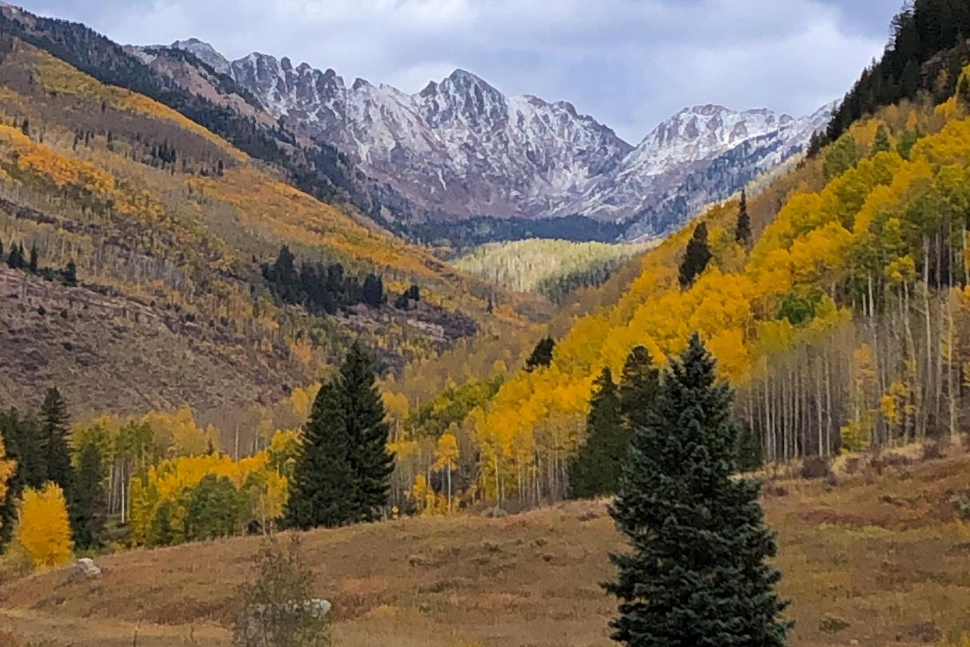 Fallridge Vail Room photo